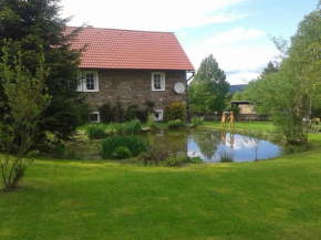 Отель Apartmán Dvorečná, Лоучовице